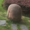 笑看人生n9海报