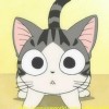 9m猫儿王、海报