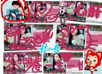 牡丹6万🌹金牌代理的图片