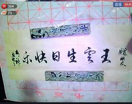 ◐んey，快樂神鱼◐主播照片