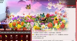 醉爱晴天2主播照片