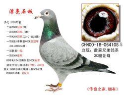 mc张某人主播照片