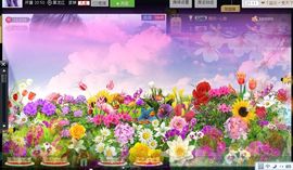 ╰✿淡写曾经！主播照片