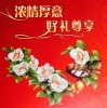 江南情眭