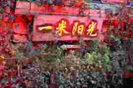 神知h主播照片