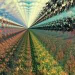 泰瑞克鲁斯