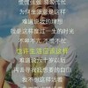 CAD1海报