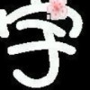 小雨v8