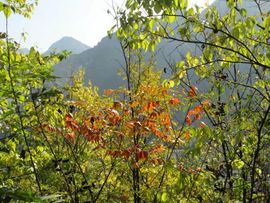 翼翔海天健身队主播照片