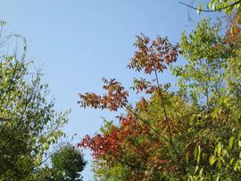 翼翔海天健身队主播照片