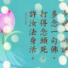 清修善缘的头像