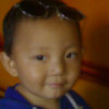 张yq