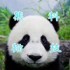 熊猫科技的头像