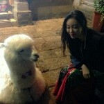 北方的南方ღ海报