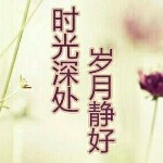 上締青海报