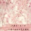 邱嘉语海报