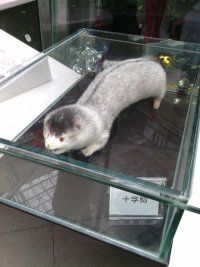 皇家马德里♀.com的主播照片