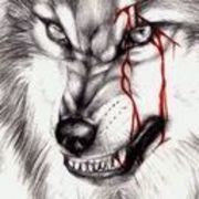 卐狼狼的头像