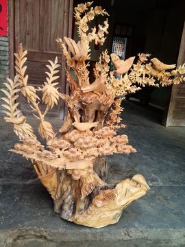 老虎爱上猫咪520主播照片