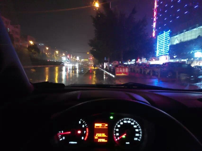 傲娇的胖胖猫的图片