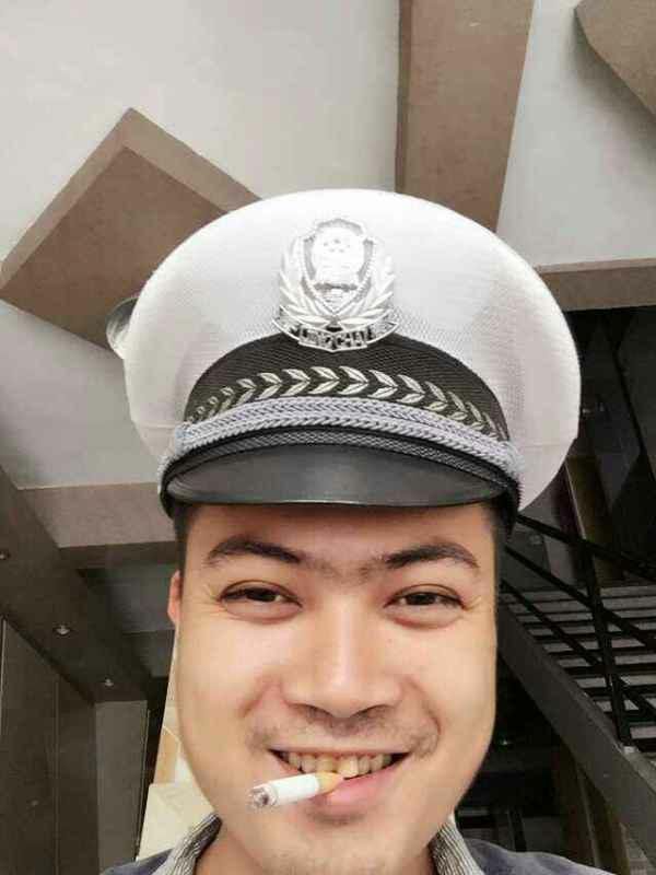 傲娇的胖胖猫的图片