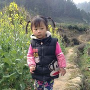 秋风飘红叶