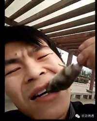 维生素好主播照片