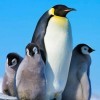 【風】海报