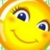 芯bs