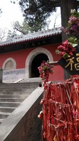 [无微]主播照片
