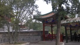 [无微]主播照片