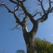 果然是我024海报