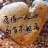 ◆宁缺毋滥