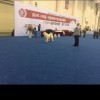 楠楠love笑笑