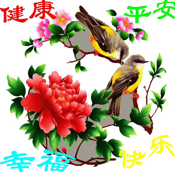 《忘忧草》@的主播照片