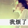 喂～美女～看这里的头像