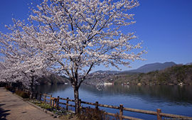 金刚ud主播照片