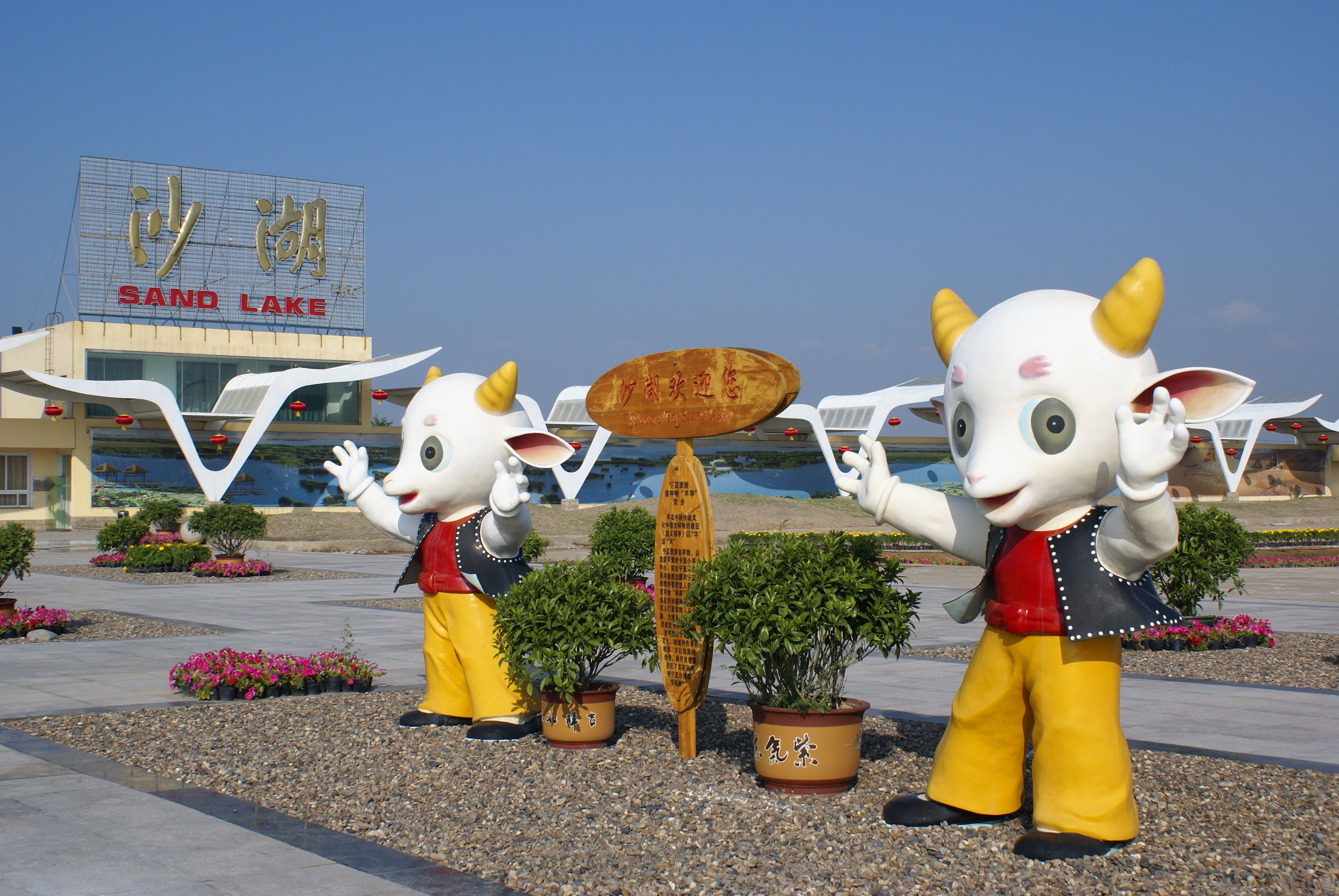 飞机场等船的主播照片