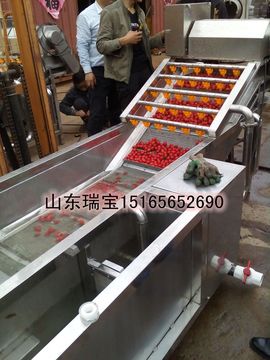 食品机械厂家直供主播照片