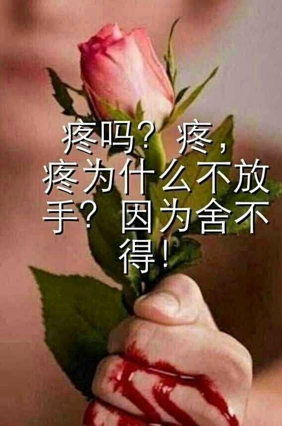 ?ゞ莎翁メ心天下ゞ?的主播照片