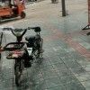 爱丁丁哥的头像
