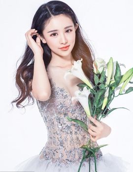 玫瑰花4113025主播照片