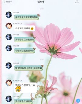 (_喵梨叶_)主播照片