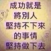 冰封的泪nn