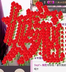 ❀君君，从零开始❀主播照片