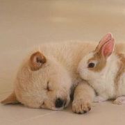 ◕◕纯黑色✿