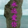 限量版-裤衩