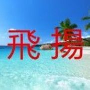 飛揚_33的头像