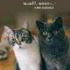 寧小小v的頭像