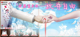 壹壹❀回来了主播照片